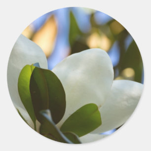 Pegatina Redonda Cielo de Vidrio Pintado Regalos de Magnolia del Su