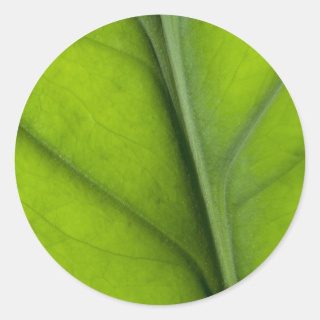 Pegatina Redonda Cierre de hojas (Anverso)