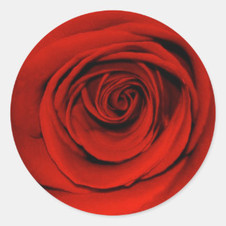 Pegatina Redonda Cierre de la rosa roja