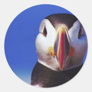 Pegatina Redonda Cierre de Puffin