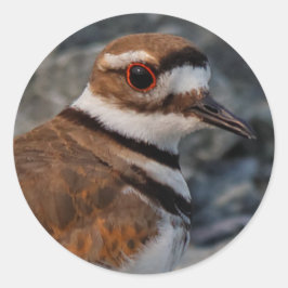 Pegatina Redonda Cierre de un asesino