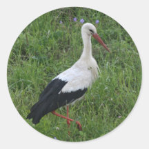 Cigüeña 1