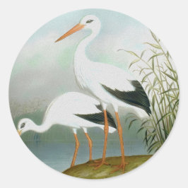 Pegatina Redonda Cigüeña blanca, Ilustraciones de pájaro