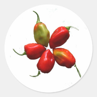 Pegatina Redonda Cinco pimientos calientes de Habanero