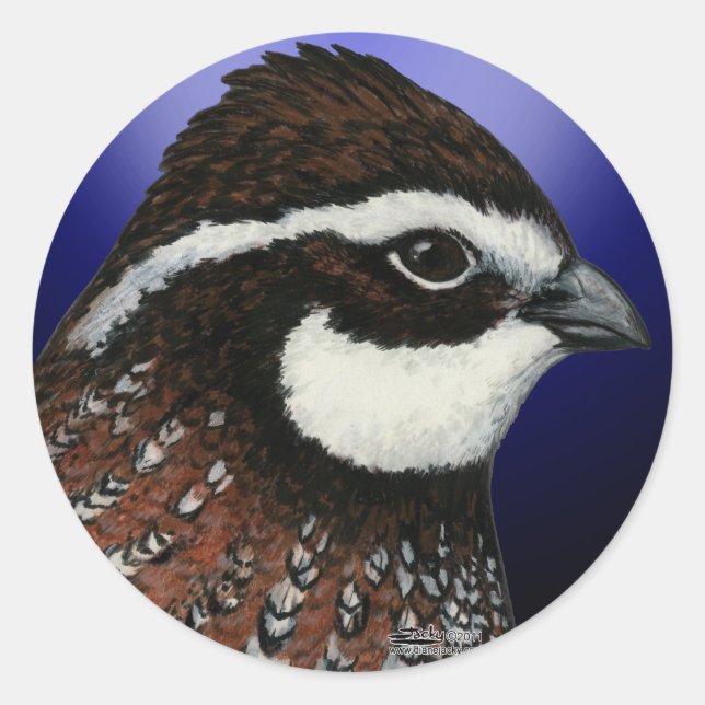 Pegatina Redonda Círculo de Cabeza de Codorniz Bobwhite (Anverso)
