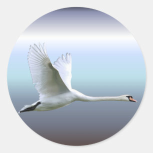 Pegatina Redonda Cisne blanco en vuelo completo