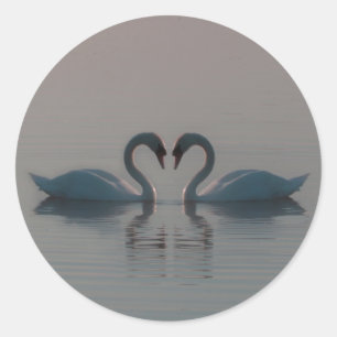 Pegatina Redonda Cisnes Azules Deben Ser Amor