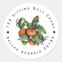 Citrus Naranja Botánico Greenery