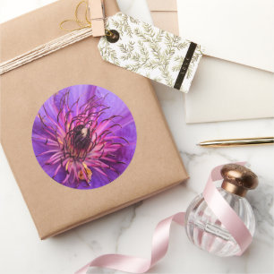 PEGATINA REDONDA CLEMATIS