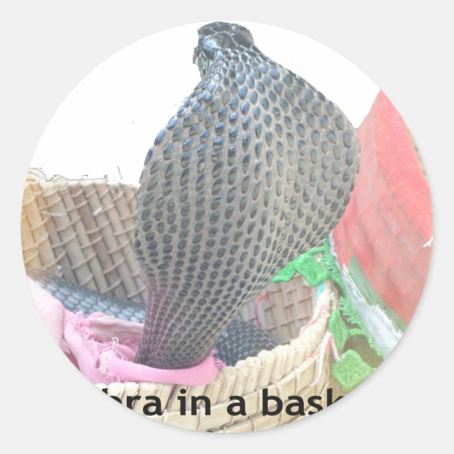 Pegatina Redonda Cobra en la edición impresa de Basket Art (Anverso)