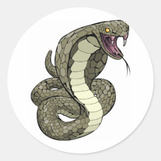 Pegatina Redonda Cobra snake a punto de atacar