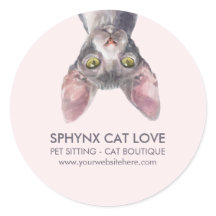 Coche Gato Canadiense Sphynx Rosa Pequeño Lindo