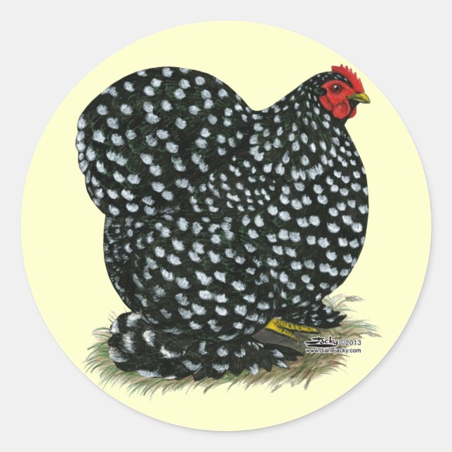 Pegatina Redonda Cochin Mottled Hen (Anverso)