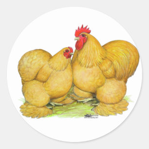 Pegatina Redonda Cochins Buff Pair