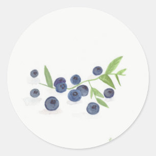 Pegatina Redonda Cocina de frutas con arándanos y moda rústica acuá