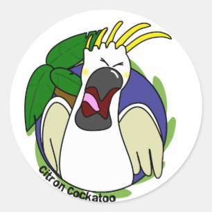 Pegatina Redonda Cockatoo cítrico de griterío divertido