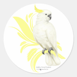 Pegatina Redonda Cockatoo con crema de azufre