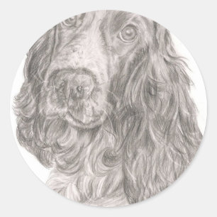 Pegatina Redonda Cocker Spaniel
