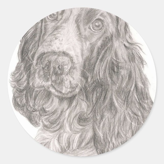 Pegatina Redonda Cocker Spaniel (Anverso)