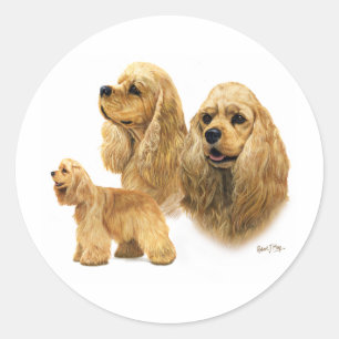 Pegatina Redonda Cocker Spaniel estadounidense