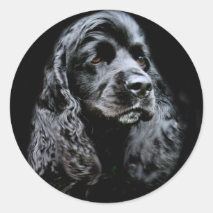Pegatina Redonda Cocker Spaniel negro