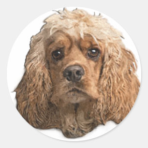 Pegatina Redonda cocker Spaniels