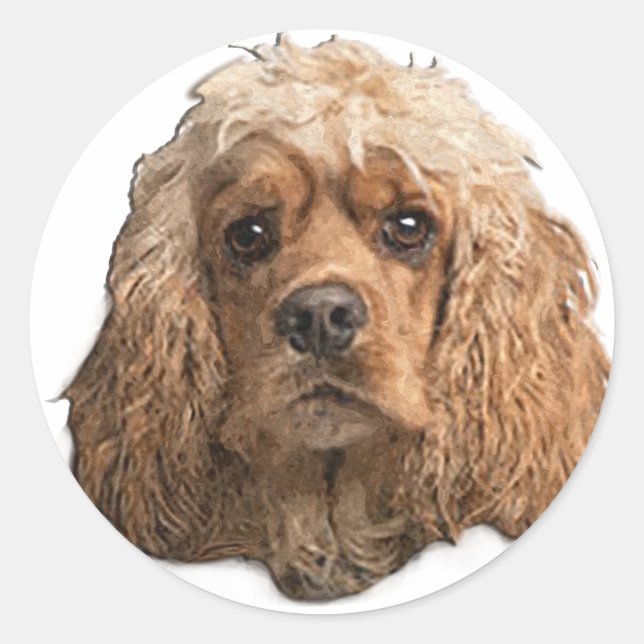 Pegatina Redonda cocker Spaniels (Anverso)
