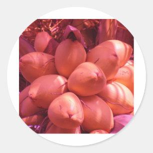 Pegatina Redonda cocos en color