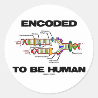 Pegatina Redonda Codificado para ser humano (replicación del ADN)