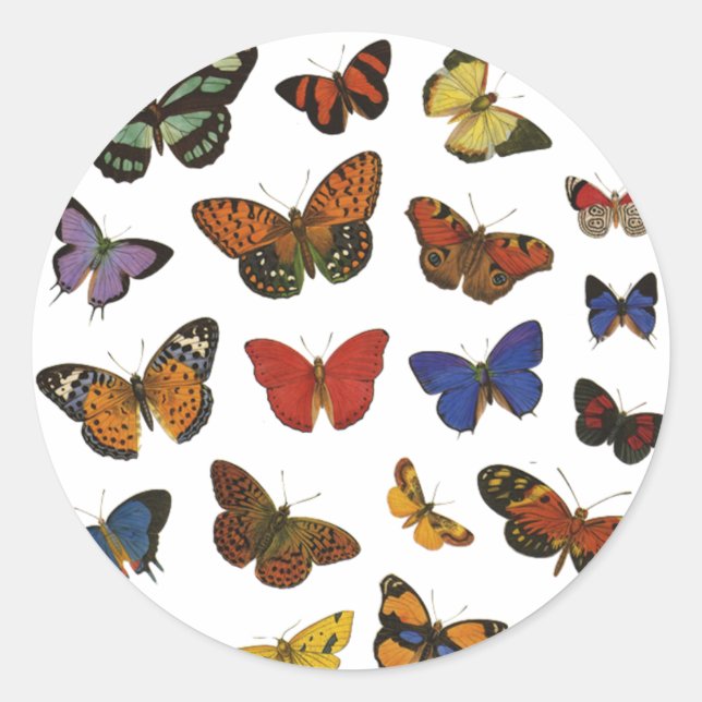 Pegatina Redonda Colección de mariposas (Anverso)