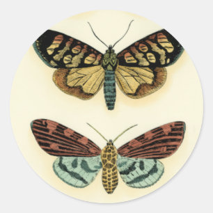 Pegatina Redonda Colección de mariposas por Chariklia Zarris