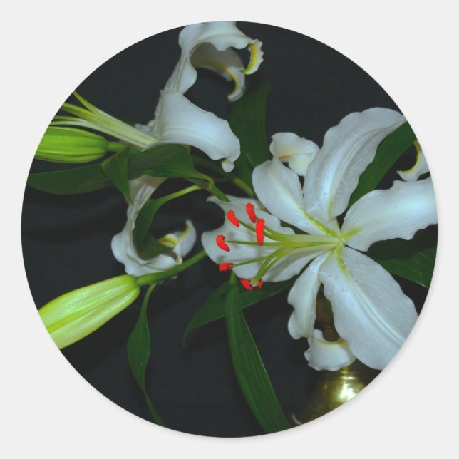 Pegatina Redonda Colección irlandesa de Brass y Flores (Anverso)