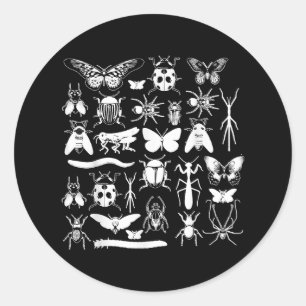 Pegatina Redonda Coleccionador de escarabajos y fallos - Insectos d