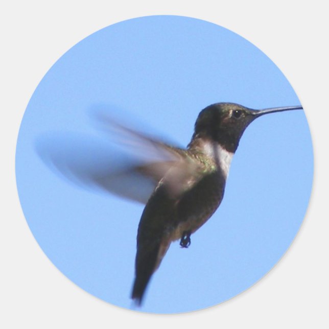 Pegatina Redonda Colibrí 2J2 en vuelo en cielo azul (Anverso)