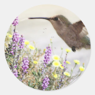 Pegatina Redonda Colibrí y Flores Silvestres Arte Digital 