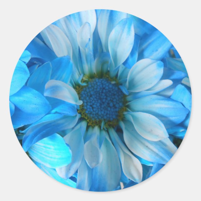 Pegatina Redonda Collaert (Anverso)