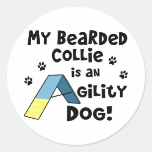 Pegatina Redonda Collie Agility Dog