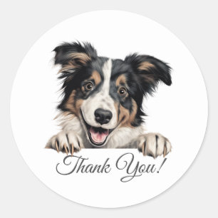 Pegatina Redonda Collie Dog Gracias