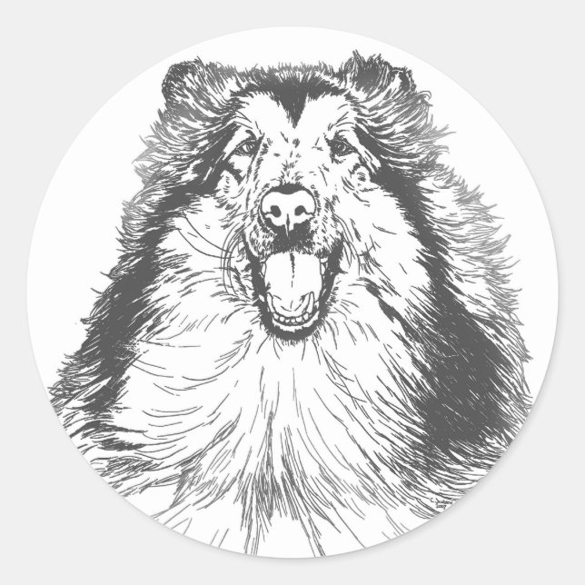 Pegatina Redonda Collie Head Study Art (Anverso)