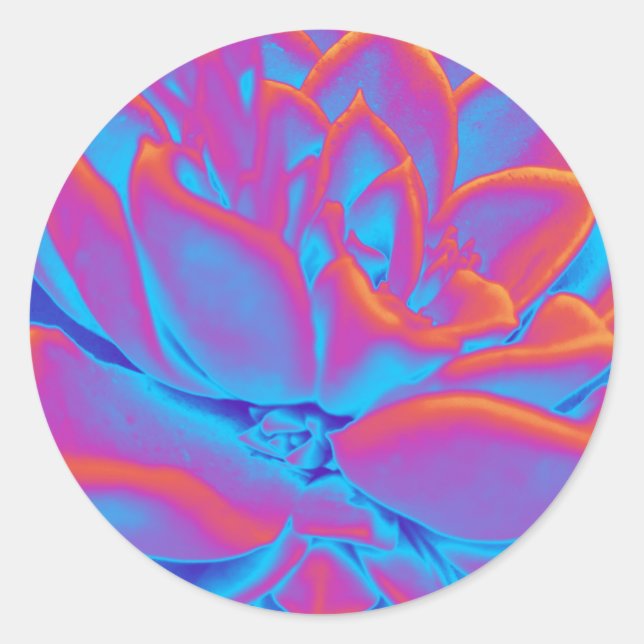 Pegatina Redonda Color arcoiris Suculento planta (Anverso)