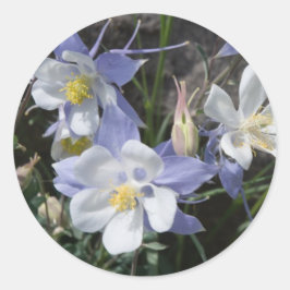Pegatina Redonda Colorado columbine