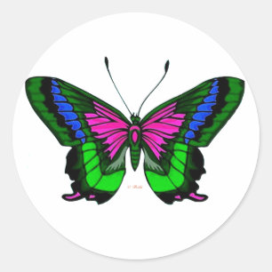 Pegatina Redonda Colores brillantes en verano 5