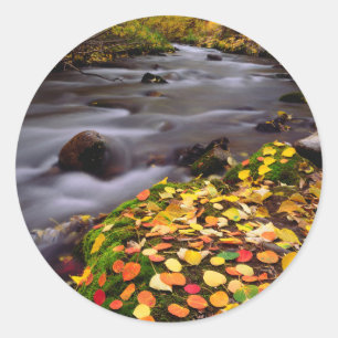 Pegatina Redonda Colores de otoño a lo largo de McGee Creek