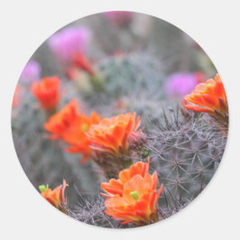 Pegatina Redonda Colores del desierto