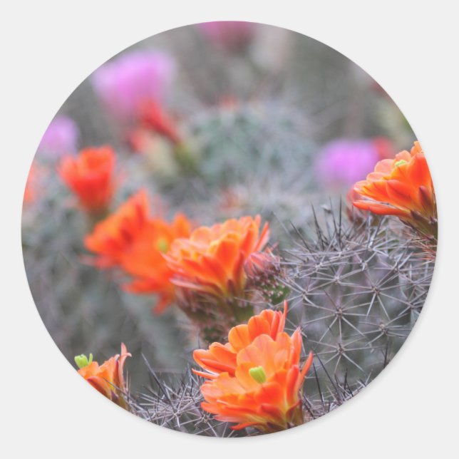 Pegatina Redonda Colores del desierto (Anverso)