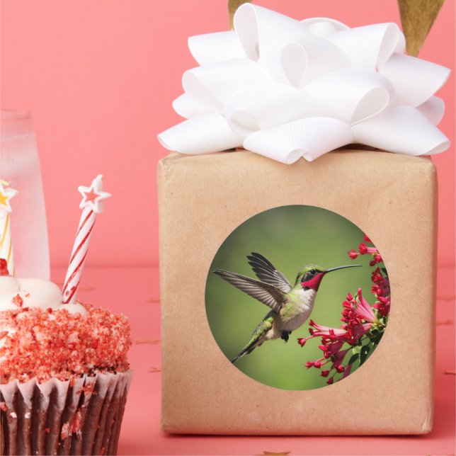 Pegatina Redonda Colorful Hummingbird (Fiesta)