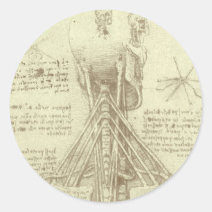 Pegatina Redonda Columna espinal de anatomía humana de Leonardo da 