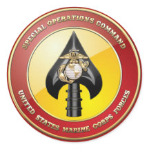 Comando de Operaciones Especiales del USMC (MARSOC