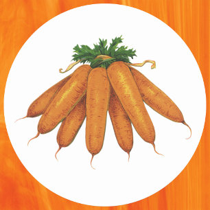 Pegatina Redonda Comida antigua, montón de zanahorias orgánicas veg