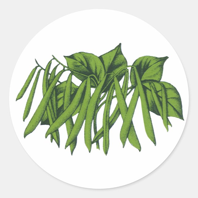 Pegatina Redonda Comida de época, frijoles verdes orgánicos (Anverso)
